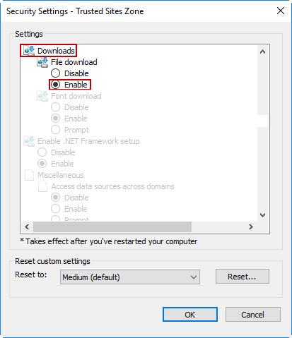 Internet_Options_Custom level_download