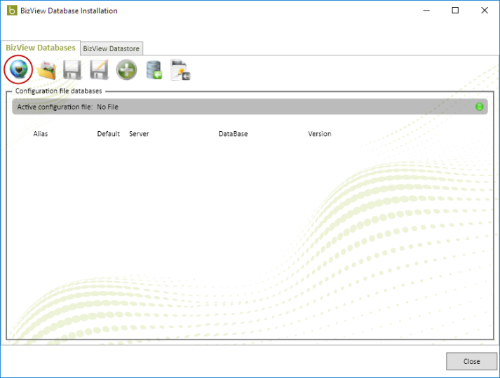 Bizview_database_installation