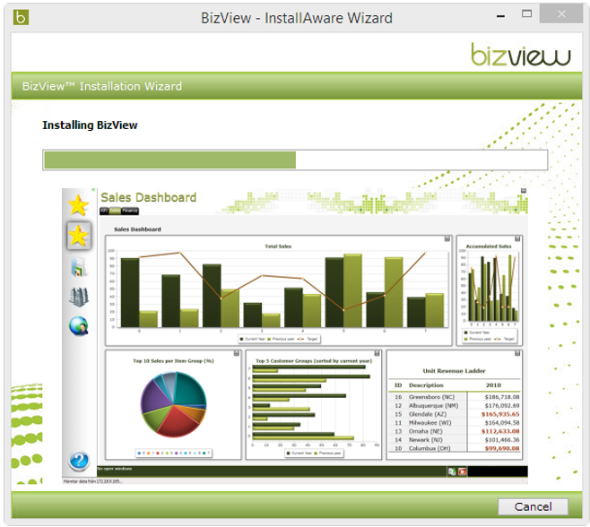 Bizview_installation_wizard_installing